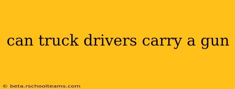 can truck drivers carry a gun
