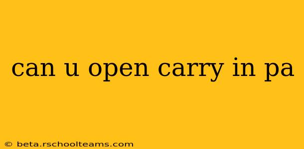 can u open carry in pa