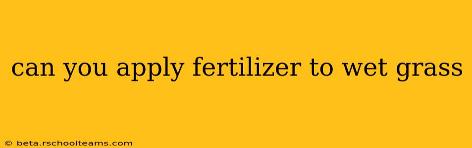 can you apply fertilizer to wet grass