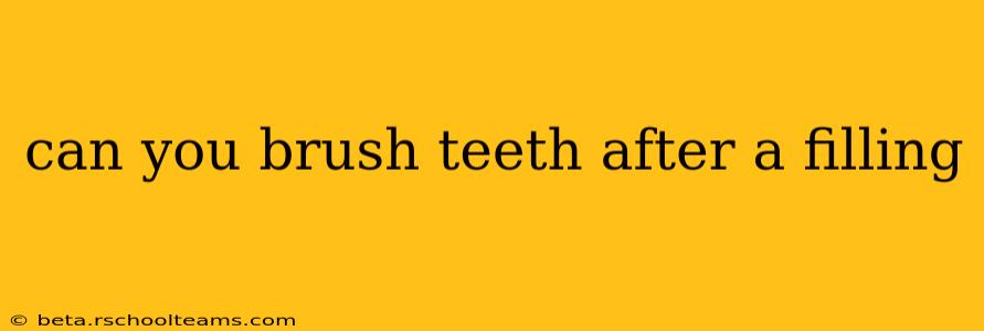 can you brush teeth after a filling