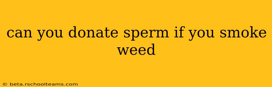 can you donate sperm if you smoke weed