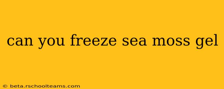 can you freeze sea moss gel