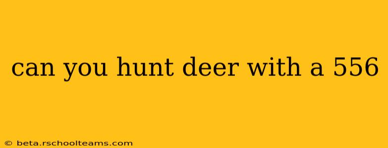 can you hunt deer with a 556