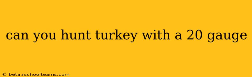 can you hunt turkey with a 20 gauge