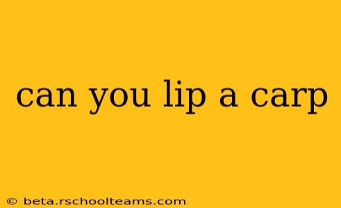 can you lip a carp