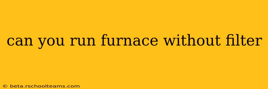 can you run furnace without filter