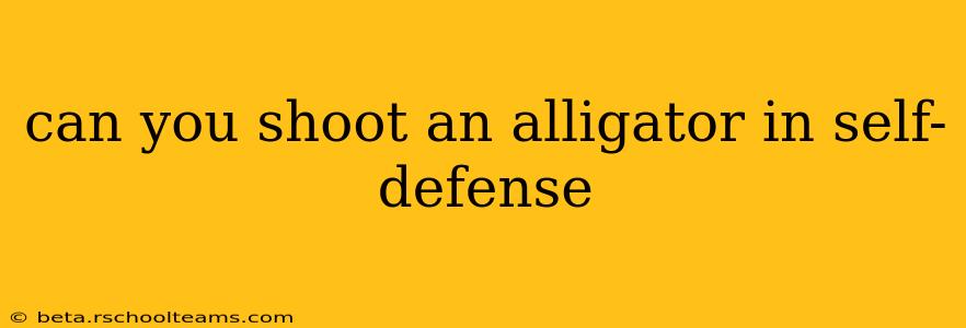 can you shoot an alligator in self-defense