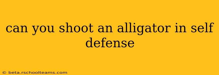 can you shoot an alligator in self defense