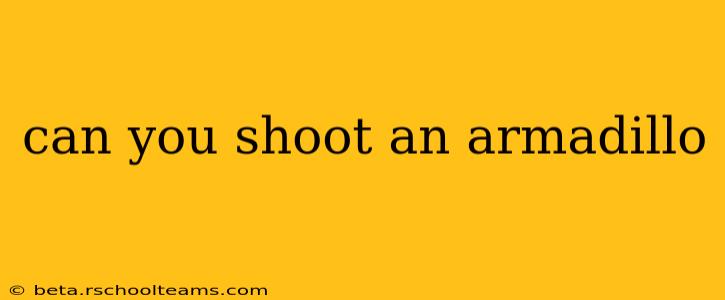 can you shoot an armadillo