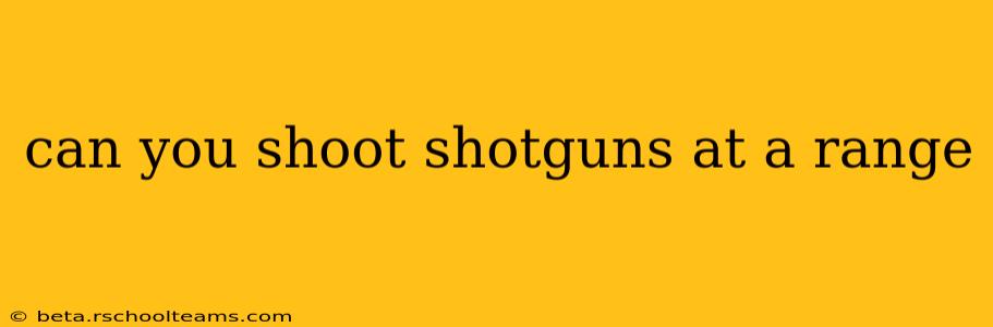 can you shoot shotguns at a range