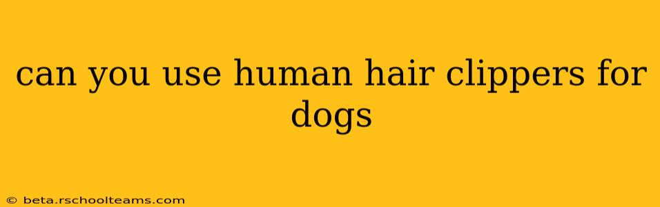 can you use human hair clippers for dogs