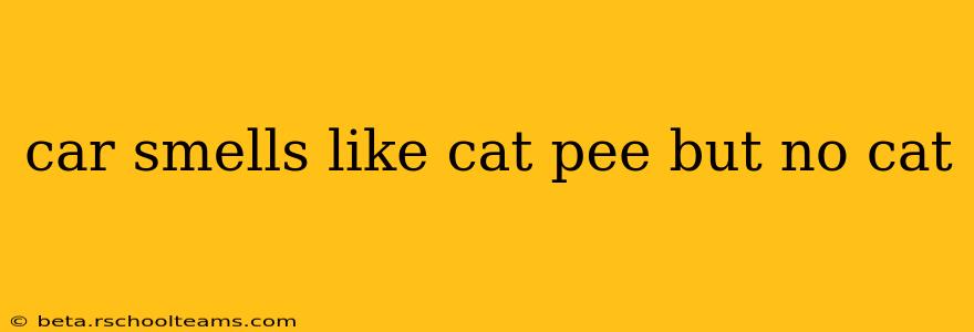 car smells like cat pee but no cat