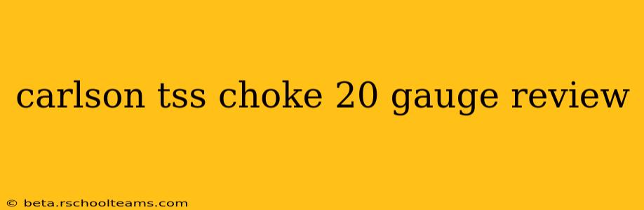 carlson tss choke 20 gauge review