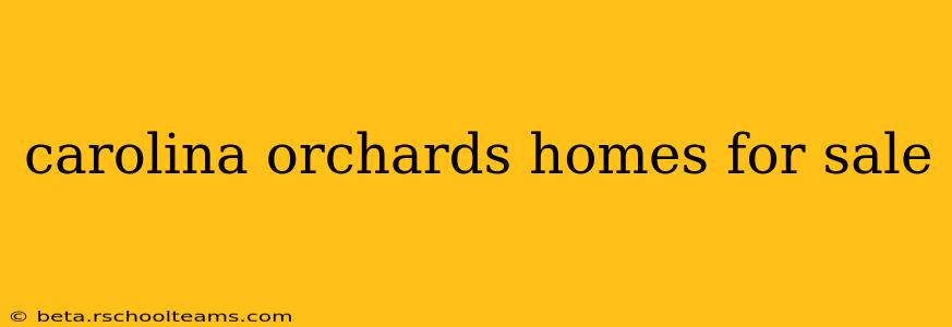 carolina orchards homes for sale