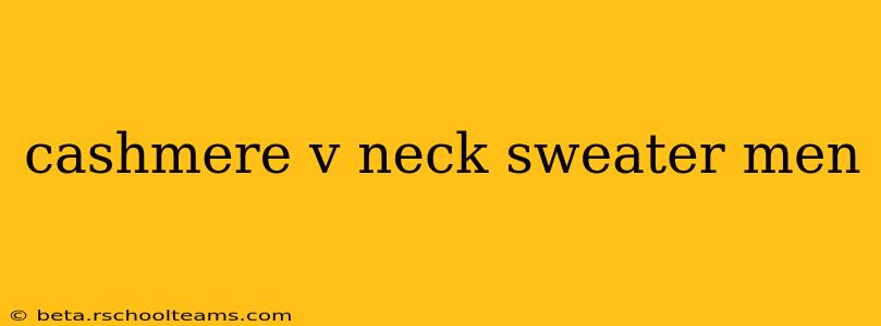 cashmere v neck sweater men