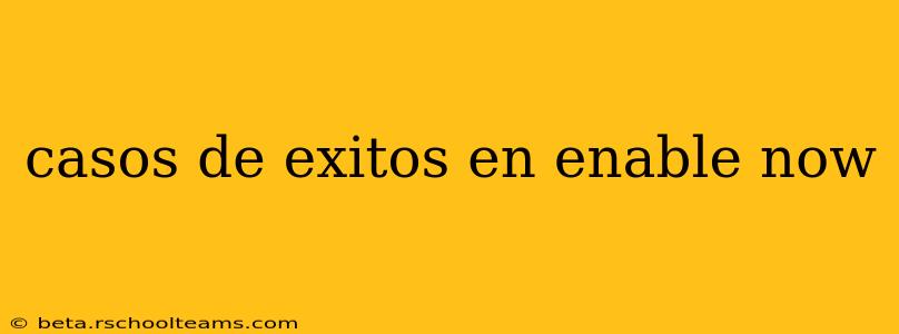casos de exitos en enable now