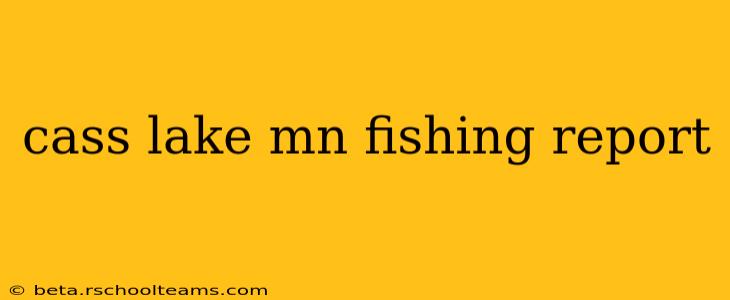 cass lake mn fishing report