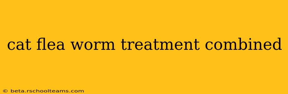 cat flea worm treatment combined