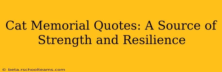 Cat Memorial Quotes: A Source of Strength and Resilience