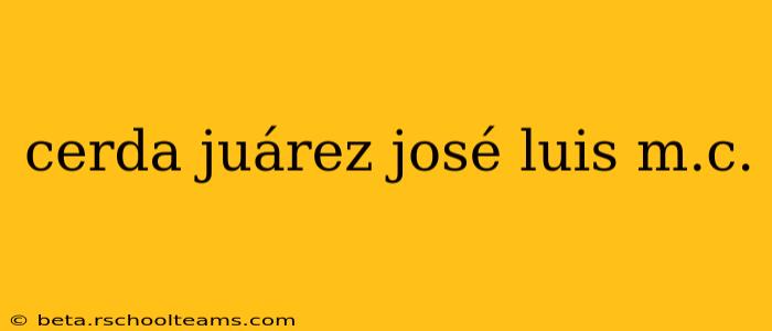 cerda juárez josé luis m.c.
