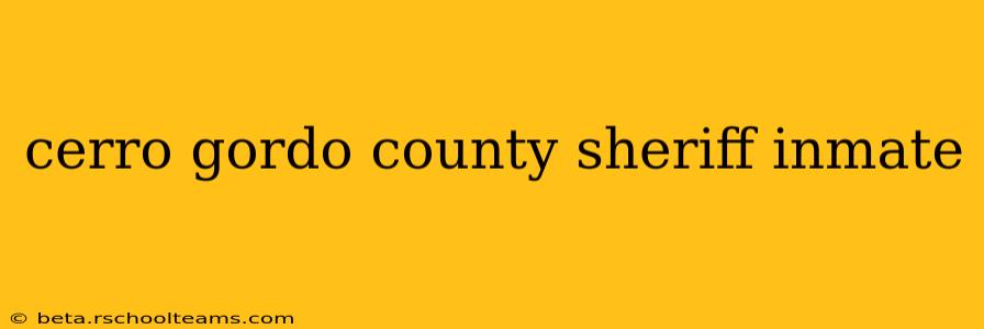 cerro gordo county sheriff inmate