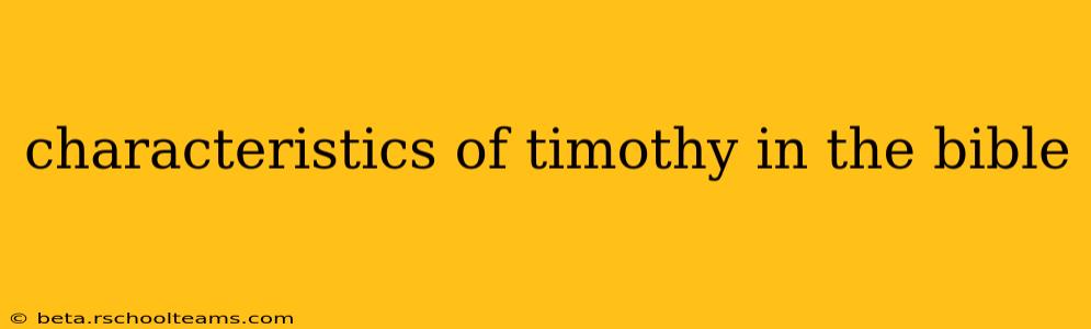 characteristics of timothy in the bible