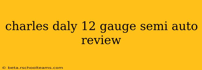 charles daly 12 gauge semi auto review
