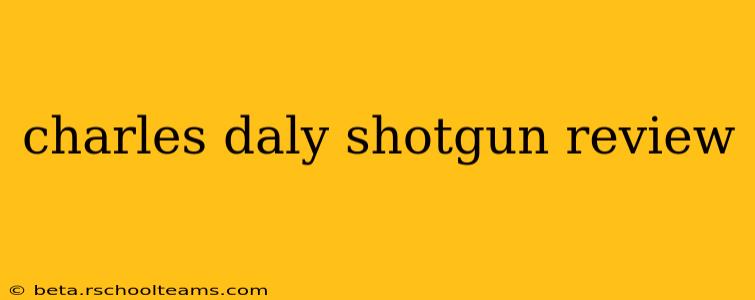charles daly shotgun review