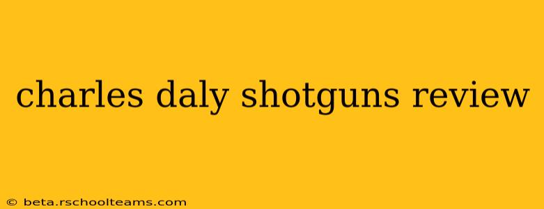 charles daly shotguns review