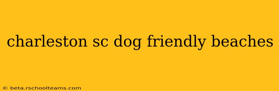 charleston sc dog friendly beaches