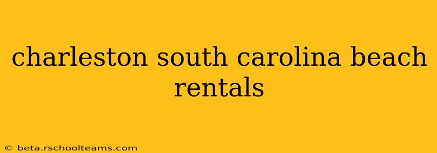charleston south carolina beach rentals