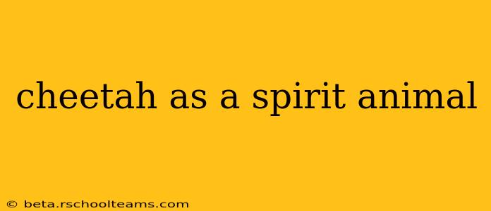 cheetah as a spirit animal
