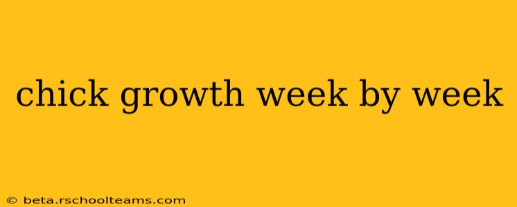 chick growth week by week