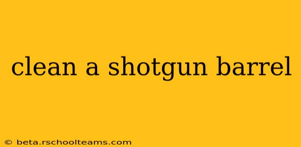 clean a shotgun barrel