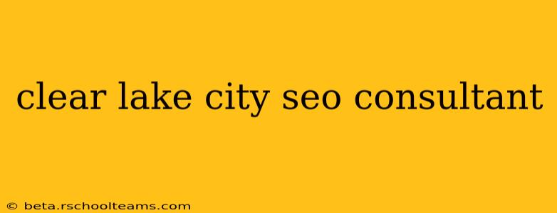 clear lake city seo consultant