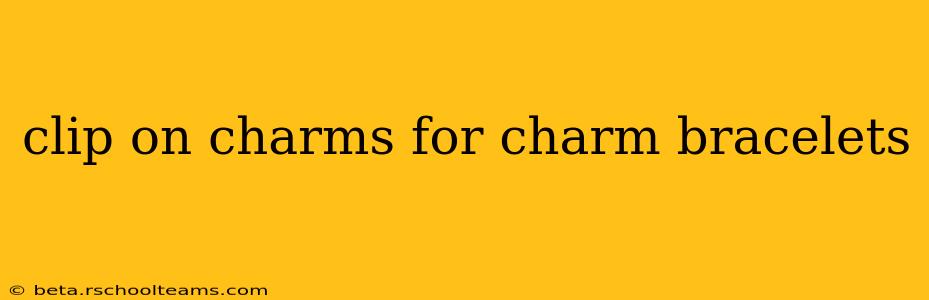 clip on charms for charm bracelets