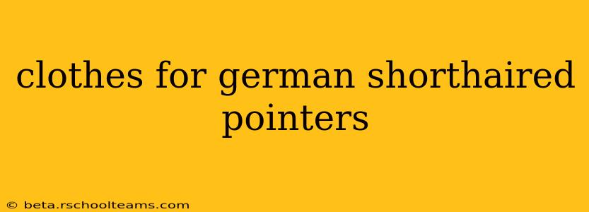 clothes for german shorthaired pointers