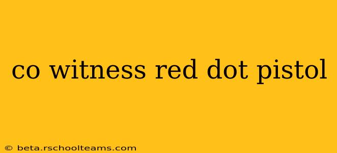 co witness red dot pistol