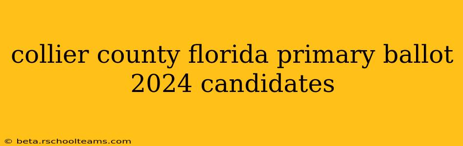 collier county florida primary ballot 2024 candidates