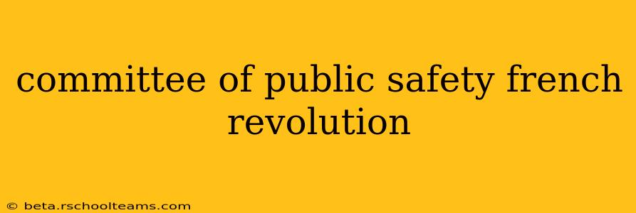 committee of public safety french revolution