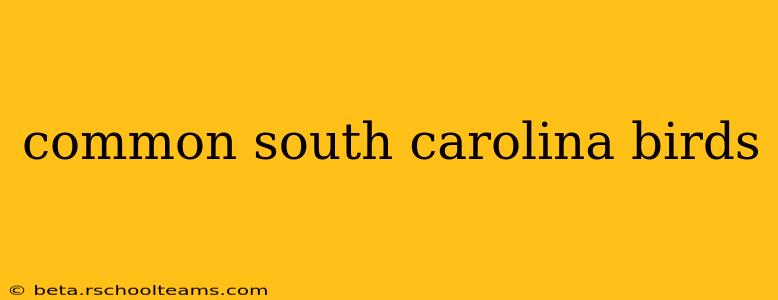 common south carolina birds