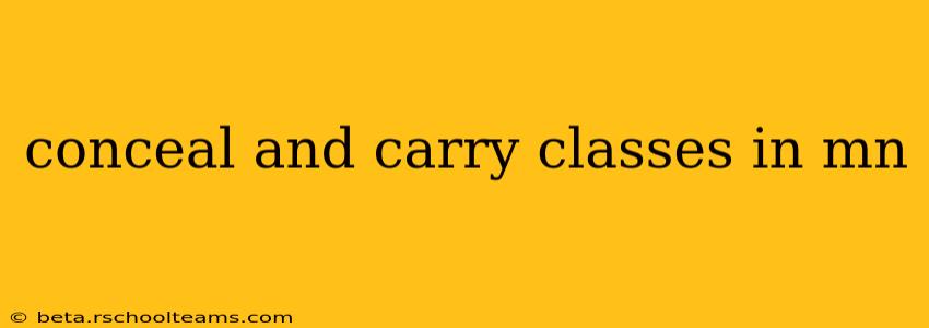 conceal and carry classes in mn