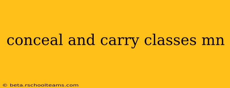conceal and carry classes mn