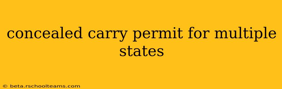 concealed carry permit for multiple states