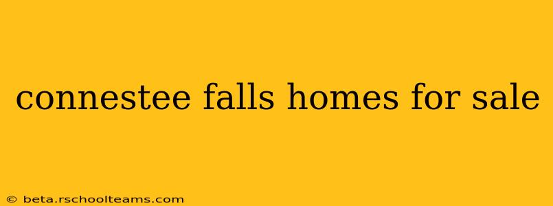 connestee falls homes for sale