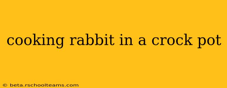 cooking rabbit in a crock pot