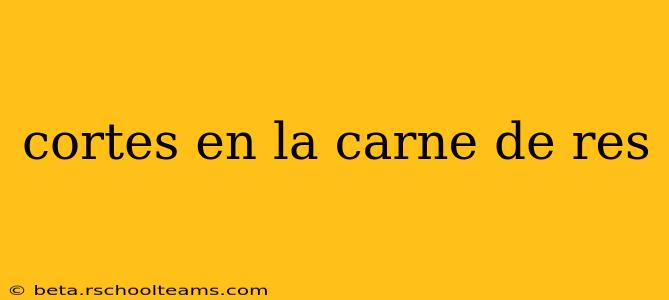 cortes en la carne de res