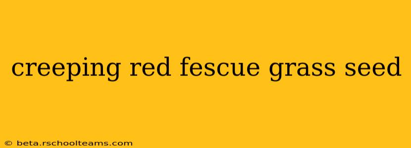 creeping red fescue grass seed