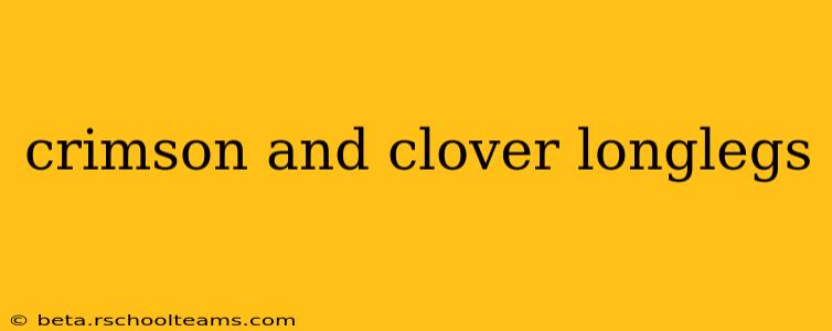 crimson and clover longlegs