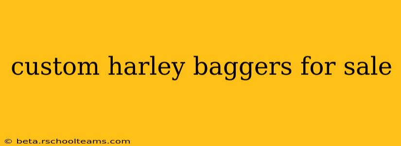 custom harley baggers for sale